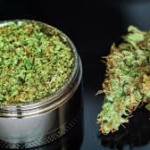 Weed Delivery in Kitchener Profile Picture