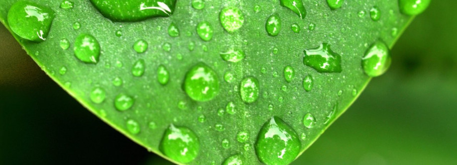 dew point Cover Image