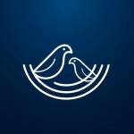Nest Soft****e Private Ltd Profile Picture