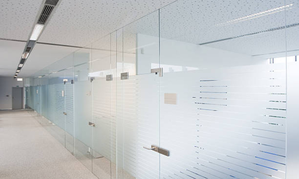 How Frameless Gl**** Walls Create Open and Productive Workspaces