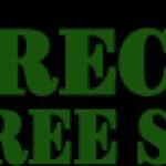 Precision tree service llc Profile Picture