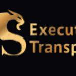 VLS Exe****ive Transportation LLC Profile Picture