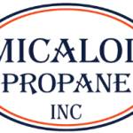 Amicalola Propane profile picture