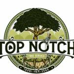 Top Notch Tree Services Profile Picture