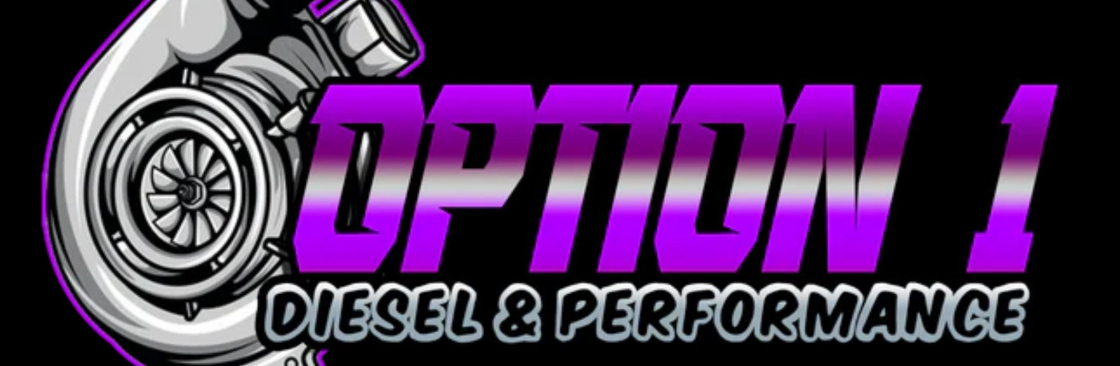 Option1 ****sel and performance Cover Image