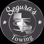 Seguras Towing Profile Picture