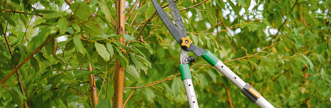 Ruger Property Maintenance Cover Image