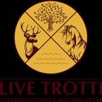 Olive Resort profile picture