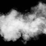 A****ss Lii Profile Picture