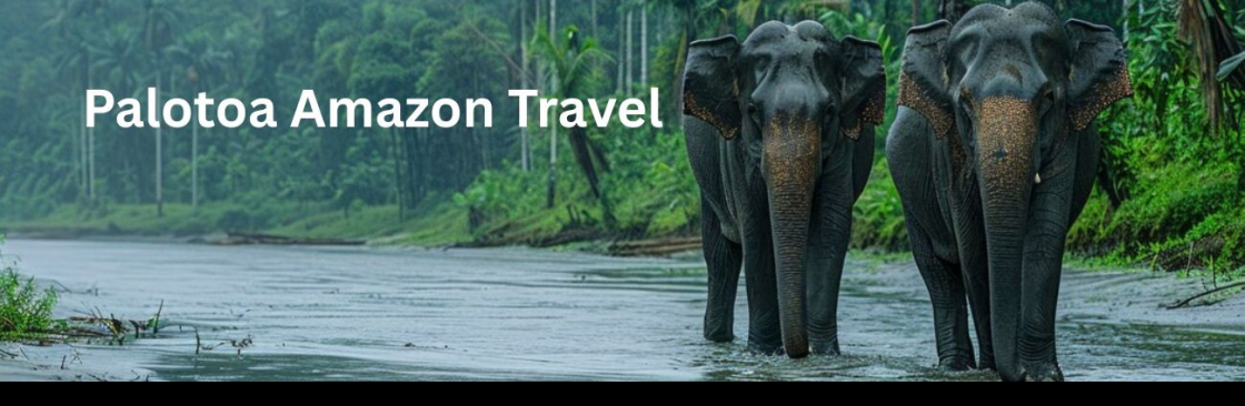 Palotoa Amazon Travel Cover Image