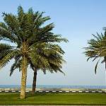 strew berry profile picture