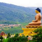 musafircab44 Profile Picture