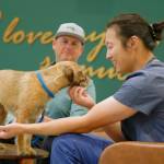 Park Hills Animal Hospital Profile Picture