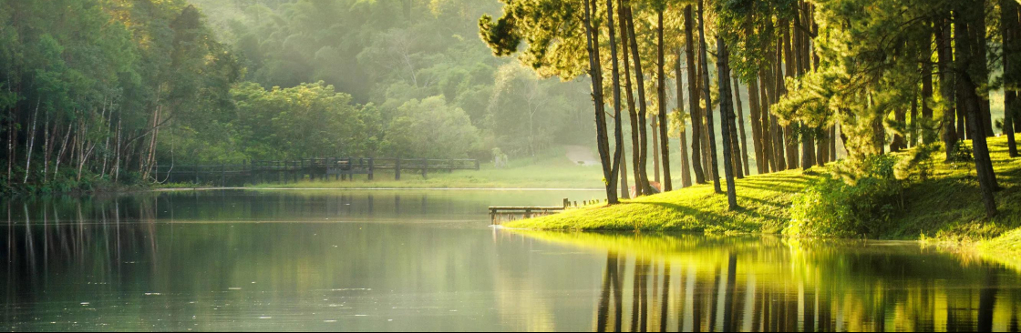 drelizabeth black**** Cover Image