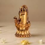 shiva idol Profile Picture