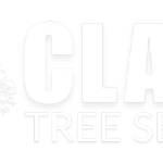 Clark Tree Services Profile Picture