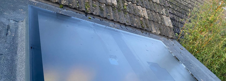 Rooflights and Skylights UK Cover Image