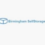 birminghamself sto**** Profile Picture