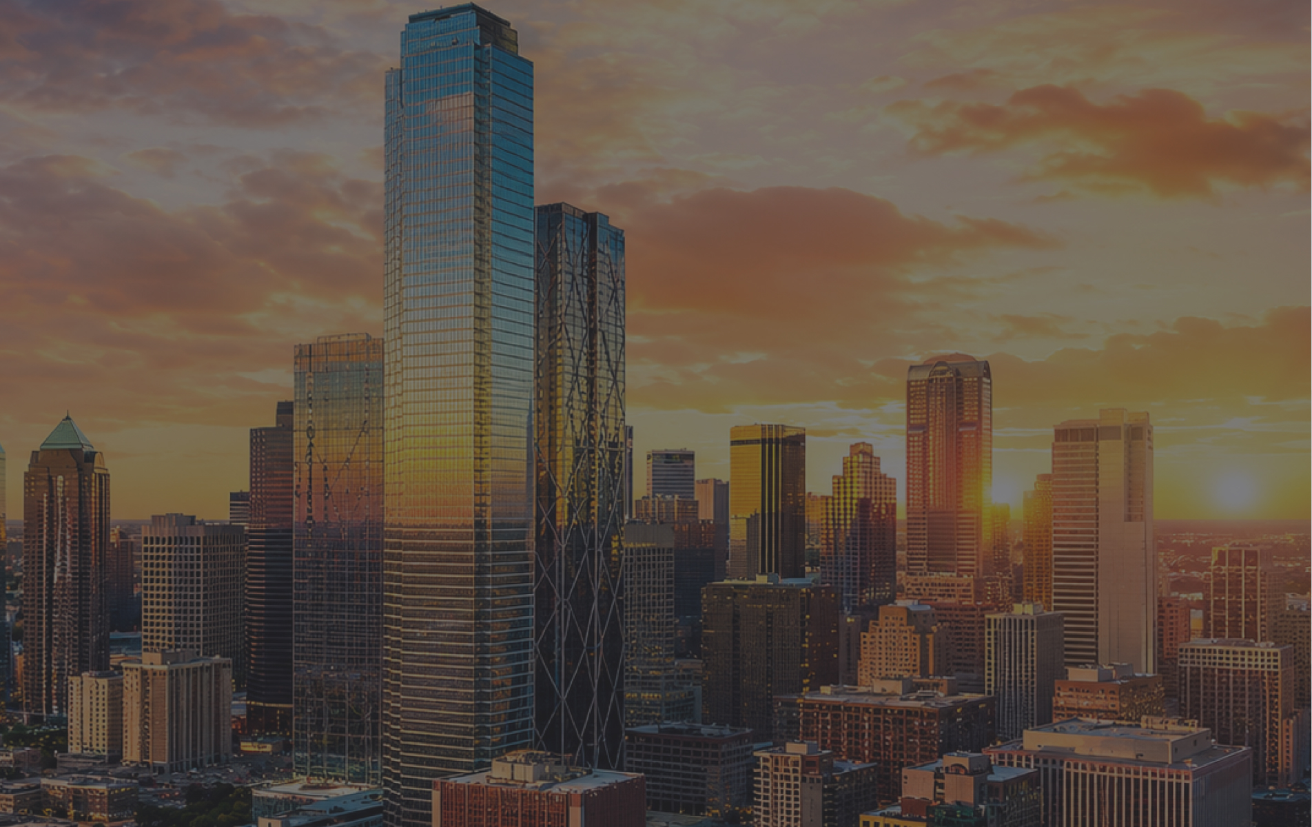 Mobile App Development Company in Houston | Soft****e Orca