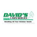 David Lawn Service Profile Picture