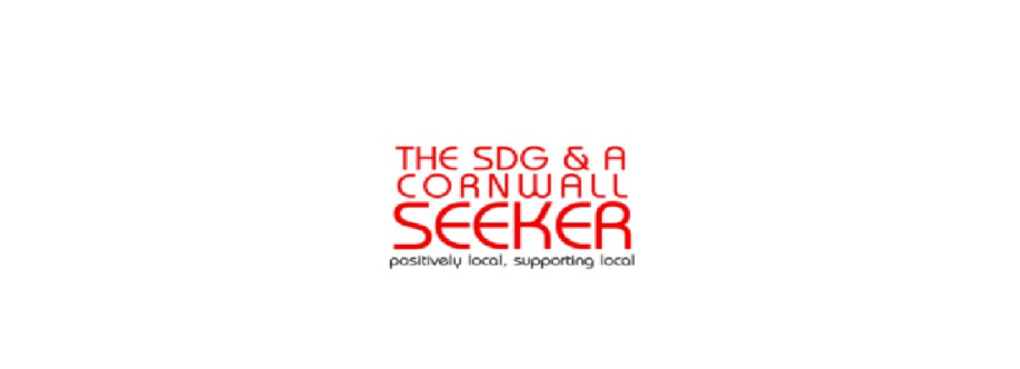 The Seeker Cover Image