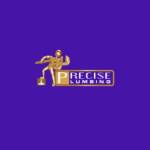 Precise Plumbing and Drain Services Profile Picture