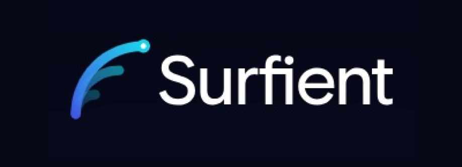 Surfient Cover Image