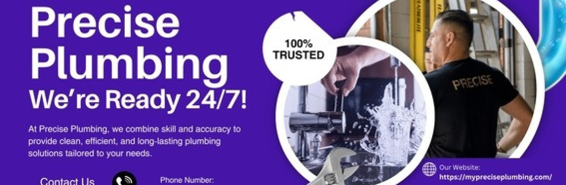 Precise Plumbing and Drain Services Cover Image