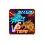 Dragon Tiger Profile Picture